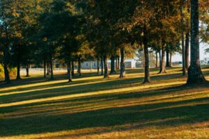 Photo by Hunter Curtis on Unsplash