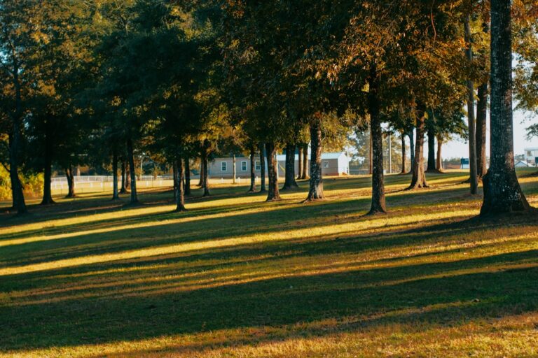 Photo by Hunter Curtis on Unsplash